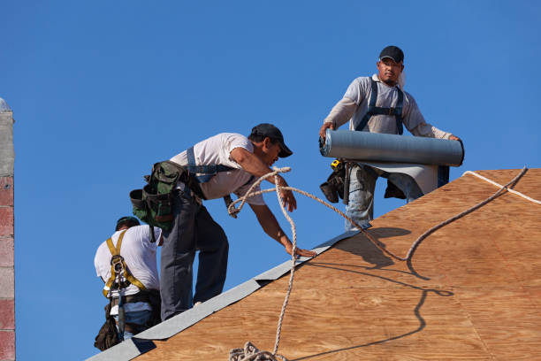 Best Gutter Installation and Roofing  in Dover Plains, NY
